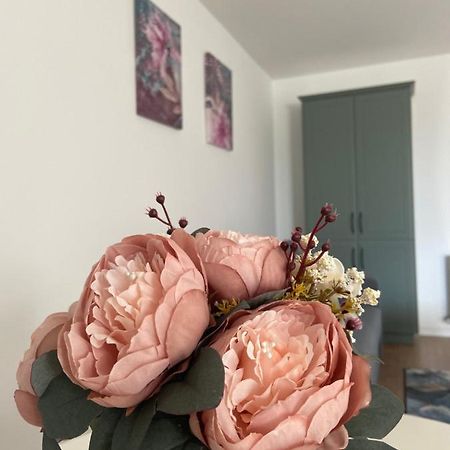 Focus Apartament Floreşti 外观 照片